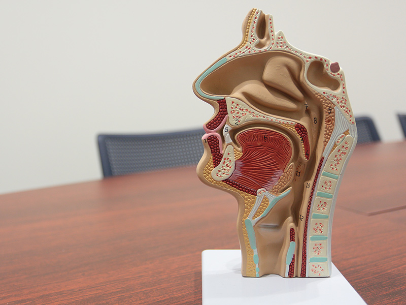 食べる力・飲み込む力を鍛えます