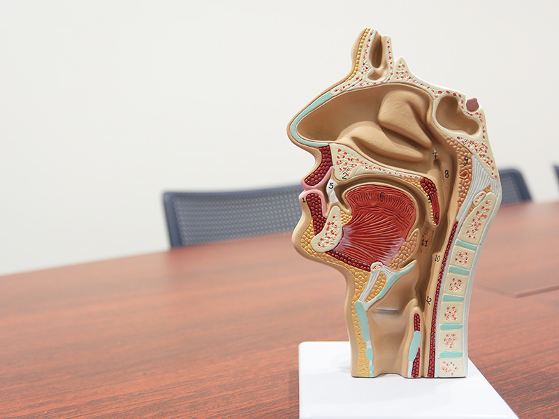 口腔機能低下を予防、改善をサポート